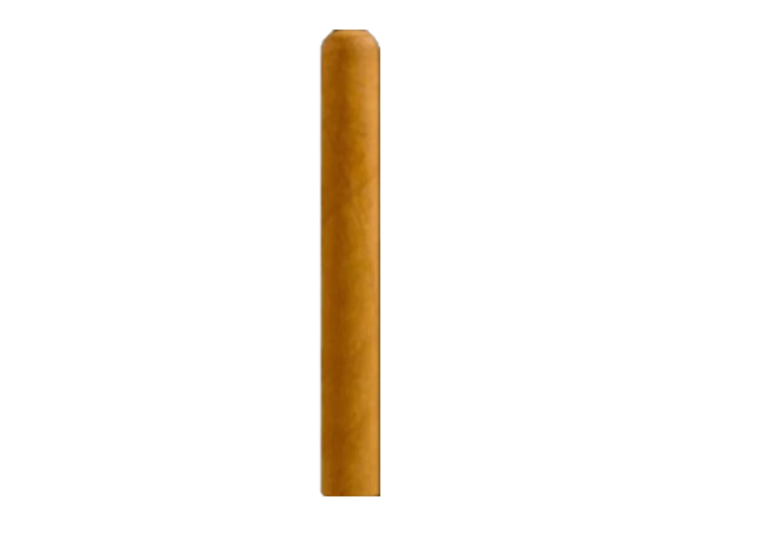 Cigar